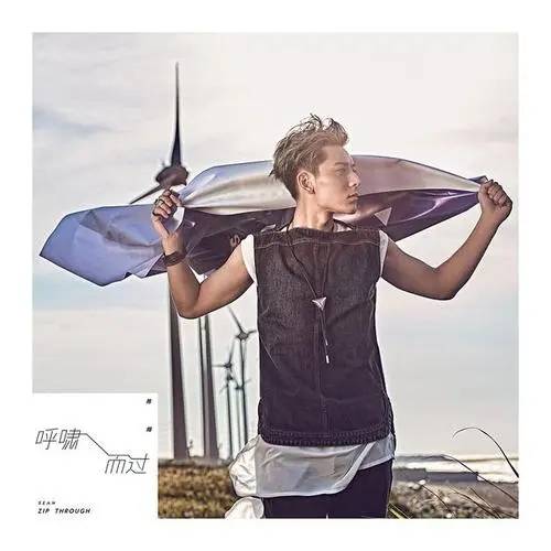 呼啸而过（陈翔演唱的歌曲）