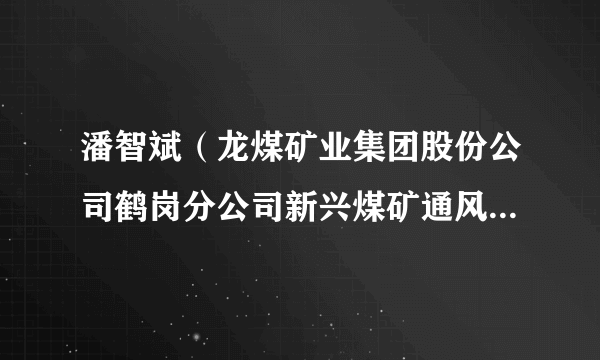 潘智斌（龙煤矿业集团股份公司鹤岗分公司新兴煤矿通风区瓦检员）