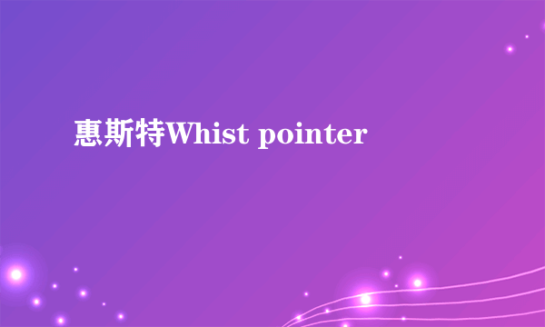 惠斯特Whist pointer