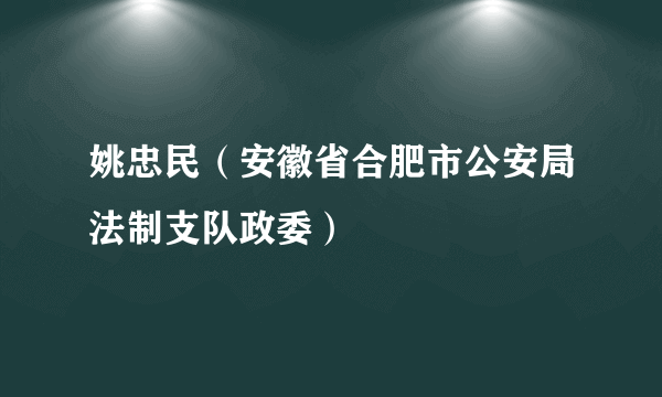姚忠民（安徽省合肥市公安局法制支队政委）