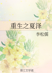 重生之夏泽
