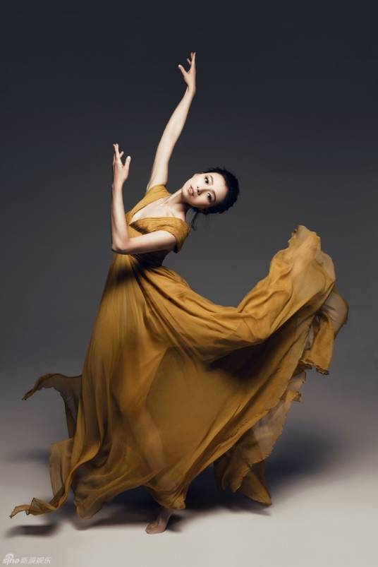 舞蹈家（社会职业）