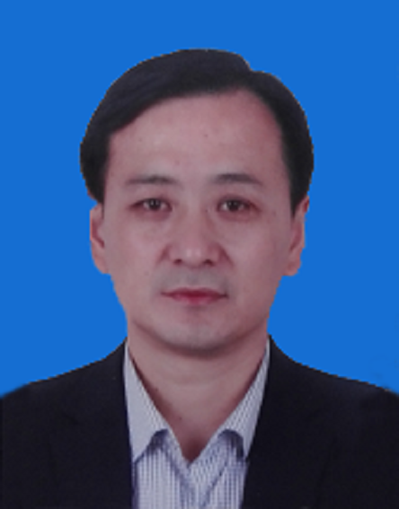 杨宏伟(安徽省合肥市长丰县公安局党委副书记、政委)