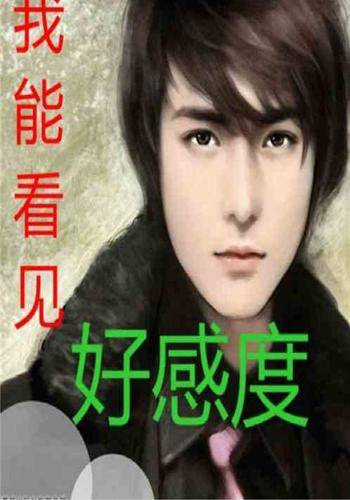 我能看见好感度