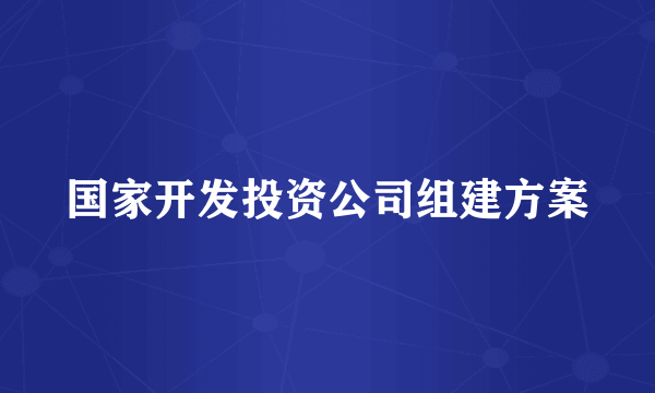 国家开发投资公司组建方案