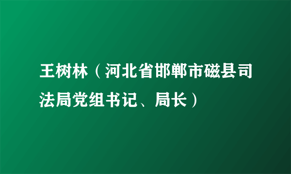 王树林（河北省邯郸市磁县司法局党组书记、局长）