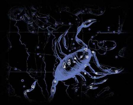 天蝎座（天文学术语，黄道星座之一）