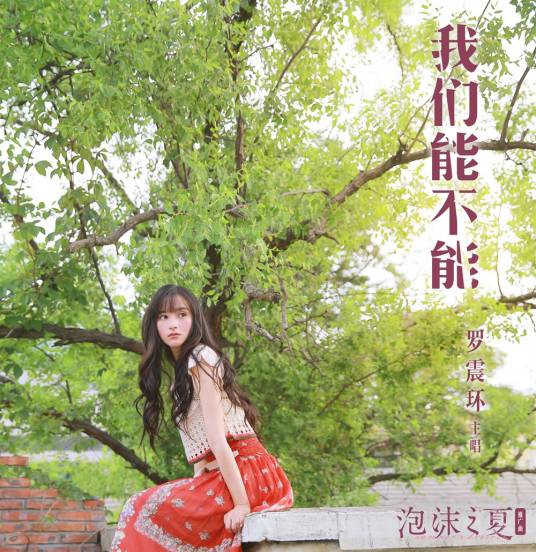 我们能不能（罗震环演唱的歌曲）