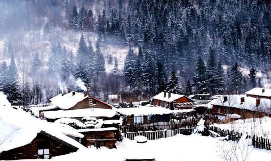 双峰林场（江西省宜丰县双峰林场）