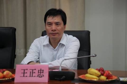 王正忠(新华通讯社安徽分社原分党组书记、社长)