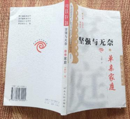 单亲家庭（2002年河北人民出版社出版的图书）