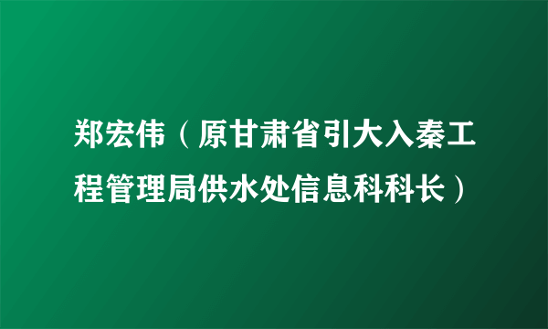 郑宏伟（原甘肃省引大入秦工程管理局供水处信息科科长）