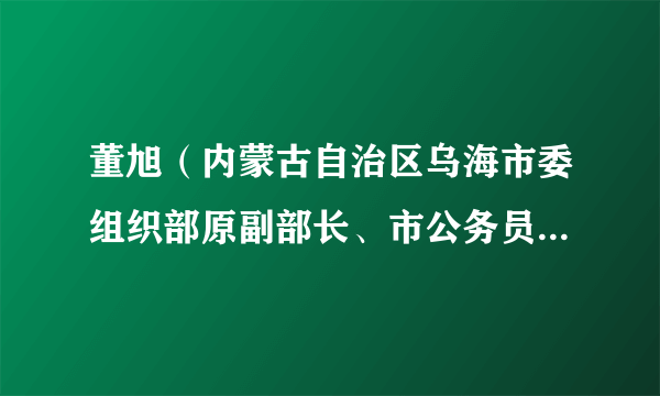 董旭(内蒙古自治区乌海市委组织部原副部长、市公务员局原局长)