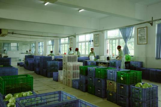 浙江绿叶生态农业发展有限公司