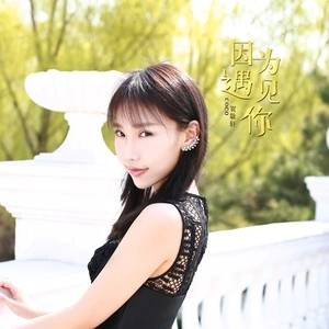 因为遇见你(贺敬轩演唱歌曲)
