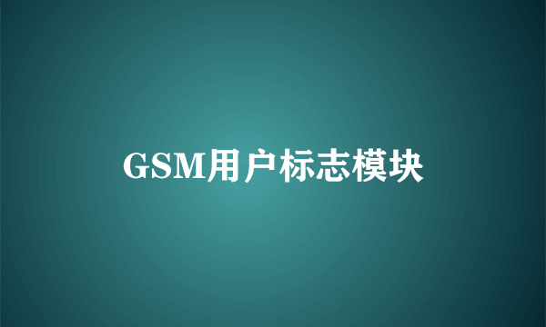 GSM用户标志模块