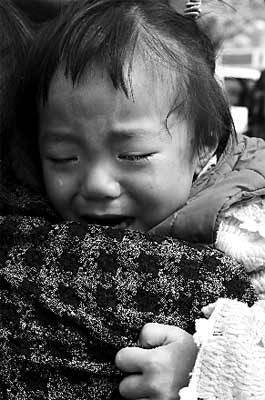 杨云芬(2008年“感动中国”候选人)