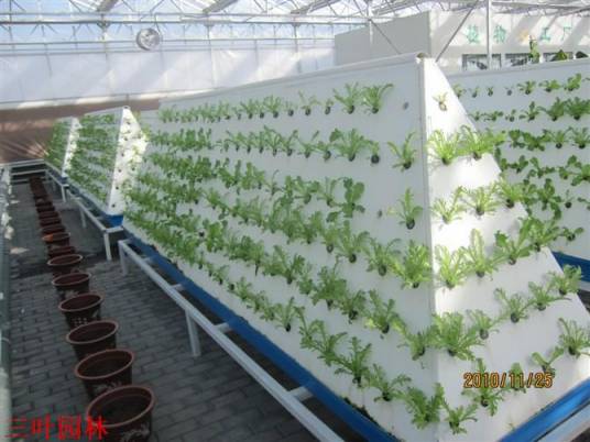 气雾栽培技术