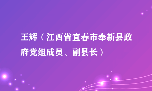 王辉(江西省宜春市奉新县政府党组成员、副县长)