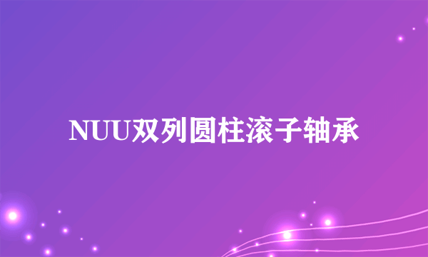 NUU双列圆柱滚子轴承