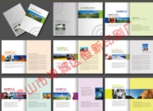 佛山市禅城区恒新印刷厂