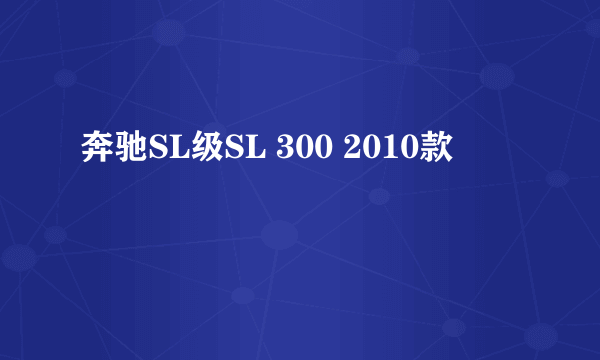 奔驰SL级SL 300 2010款