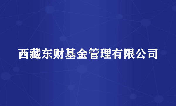 西藏东财基金管理有限公司