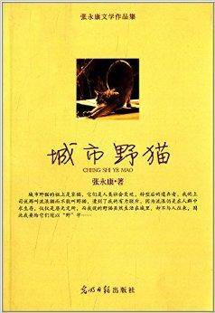 城市野猫