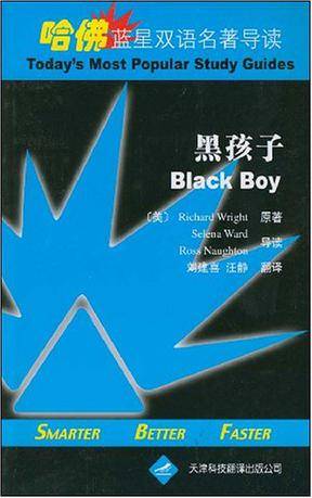 黑孩子（理查德·赖特著自传体小说）
