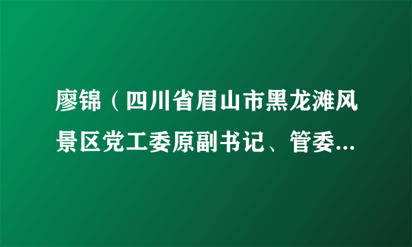 廖锦（四川省眉山市黑龙滩风景区党工委原副书记、管委会原主任）