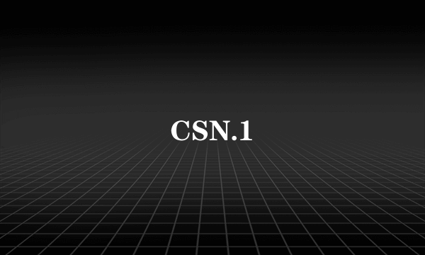 CSN.1