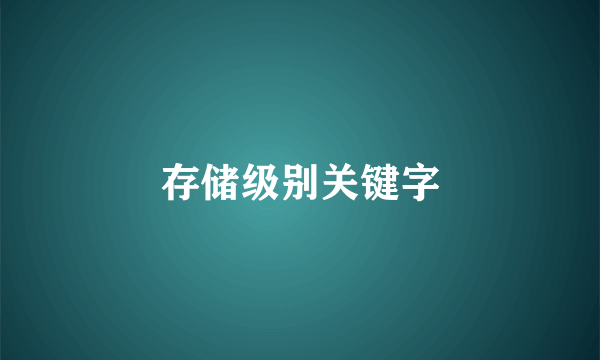存储级别关键字