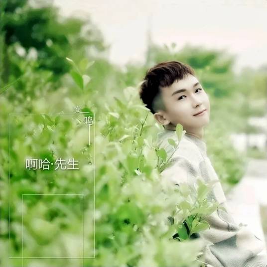 假象（安鸣演唱歌曲）