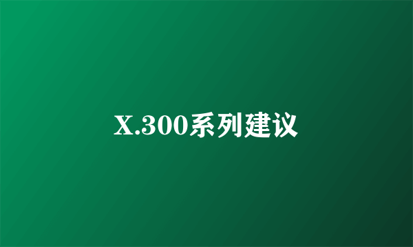 X.300系列建议