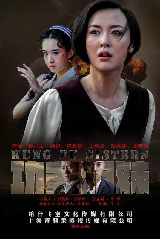 功夫姐妹(2016年牛牛执导的谍战剧)