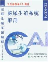 泌尿生殖系统解剖