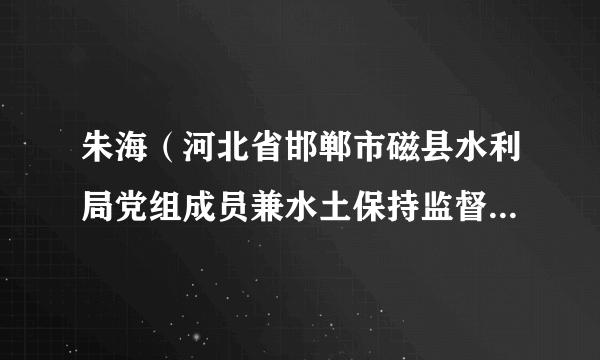 朱海（河北省邯郸市磁县水利局党组成员兼水土保持监督检查站站长）