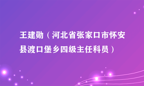 王建勋（河北省张家口市怀安县渡口堡乡四级主任科员）