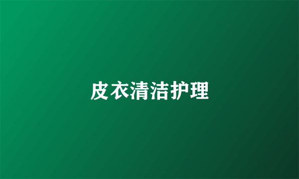 皮衣清洁护理