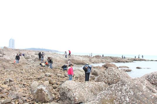 张小姐（张亚楠）