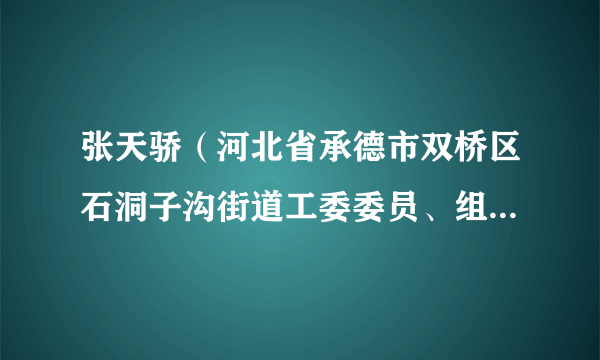 张天骄（河北省承德市双桥区石洞子沟街道工委委员、组宣部长）