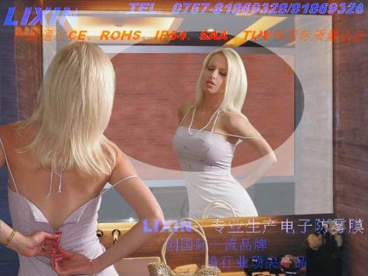 佛山丽新电子科技