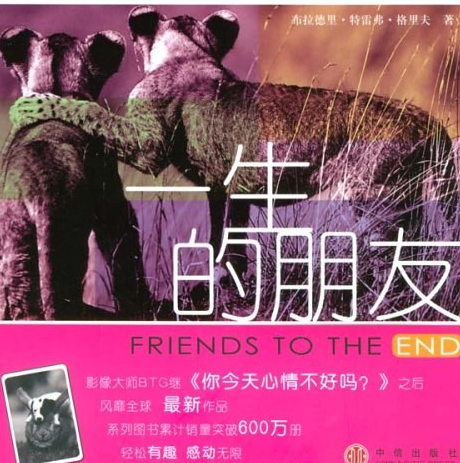 一生的朋友（2006年中信出版社出版的图书）