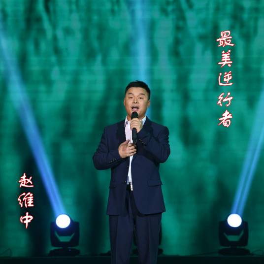 最美逆行者（赵维中演唱的歌曲）