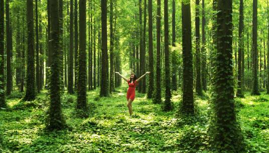 森林生态旅游（第三产业项目）