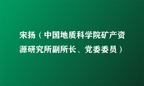 宋扬(中国地质科学院矿产资源研究所副所长、党委委员)