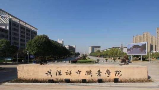 武汉城市职业学院汽车技术与服务学院