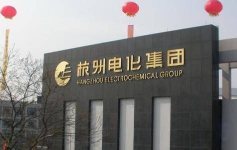 杭州电化集团有限公司