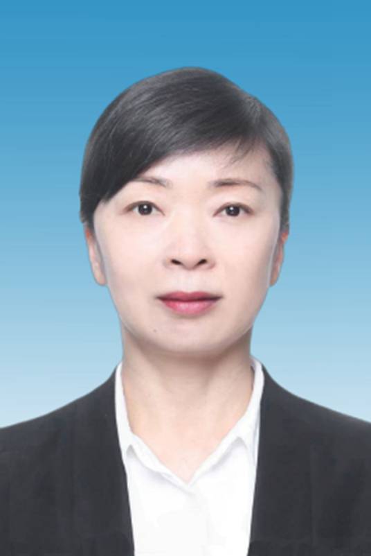 雪琳(云南省德宏傣族景颇族自治州政府副州长)