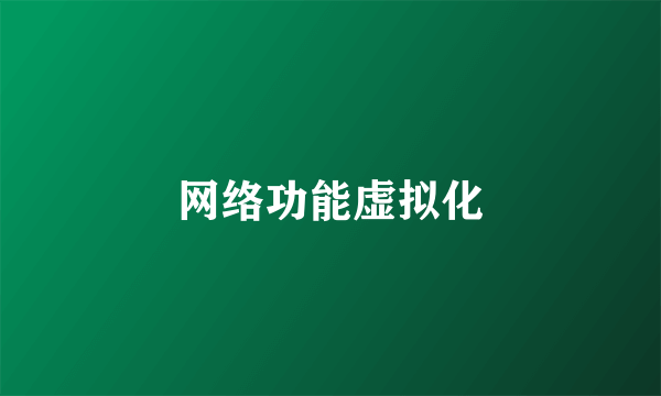 网络功能虚拟化